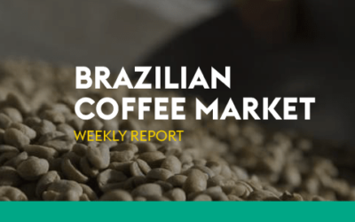 Weekly report – Brazilian Coffee Market – January 30th ~ February 03rd 2023