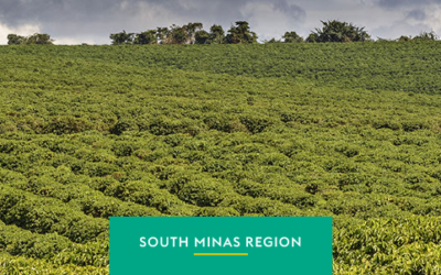 South Minas: coffee that tell a story