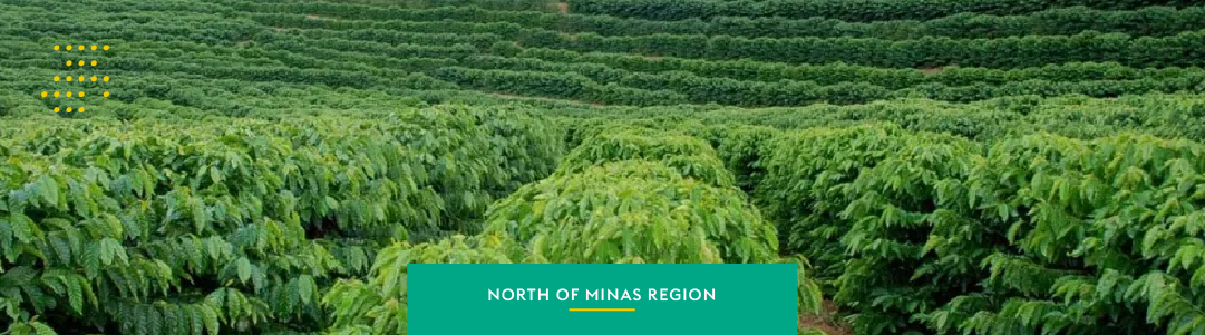 North of Minas: the awakening of a new frontier for coffee production
