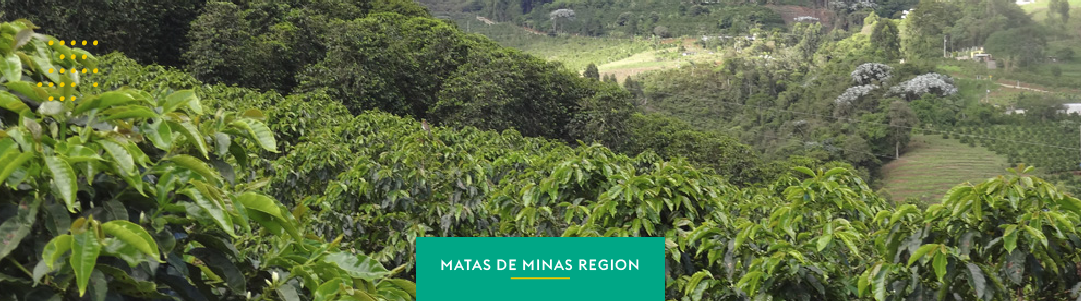 Matas de Minas: tradition, family agriculture and sustainability