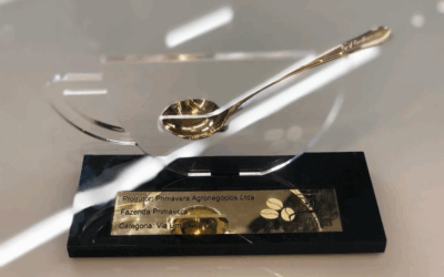 Primavera Farm, Winner of the 2018 Cup of Excellence and First Runner-Up in 2019