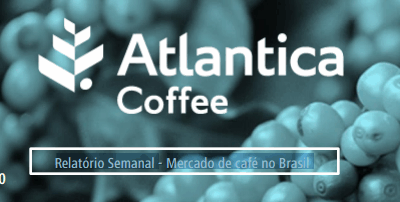 WEEKLY REPORT – COFFEE MARKET IN BRAZIL