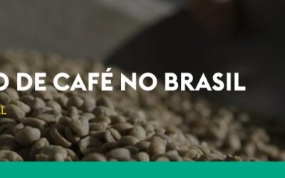 Relatório Semanal Mercado de café no Brasil – 11 a 14 de abril de 2022