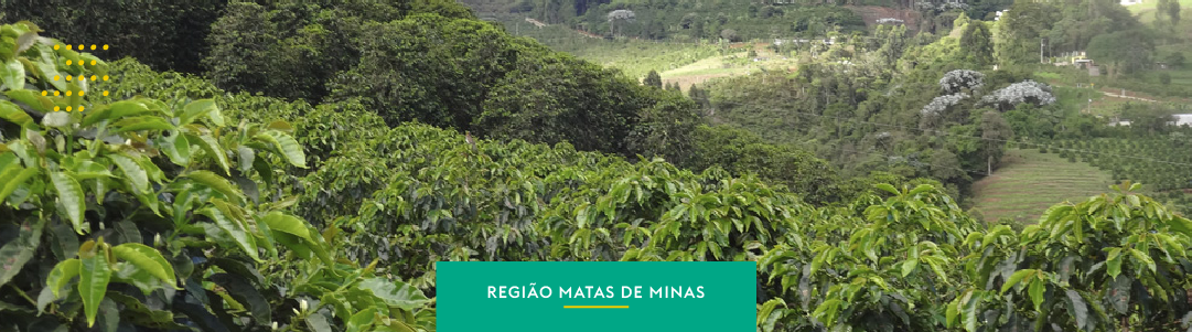 Matas de Minas: tradição, agricultura familiar e sustentabilidade
