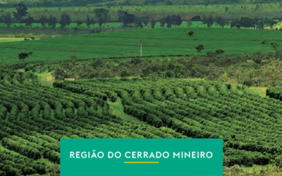 Cerrado Mineiro – Uma região de atitude e cafés de alta qualidade.
