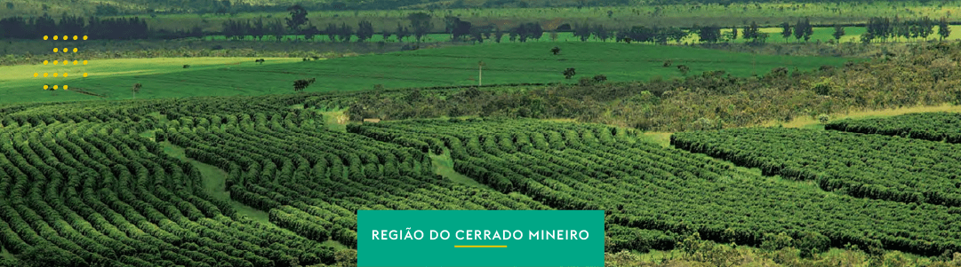 Cerrado Mineiro – Uma região de atitude e cafés de alta qualidade.