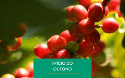 O Início do Outono e seus Desafios para a Cafeicultura Brasileira