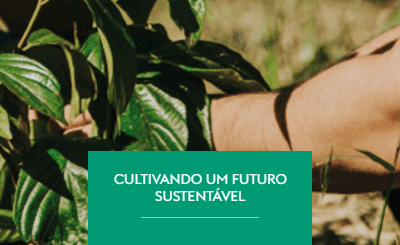 Cultivando um futuro sustentável: O compromisso da Atlantica Coffee com o meio ambiente.