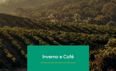 Inverno e Café: Desafios e Cuidados na Produção Brasileira