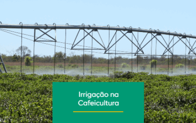 A importância da Irrigação em tempos de mudanças climáticas 