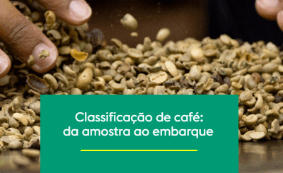 Classificação de café: da amostra ao embarque 