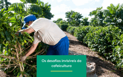 Os desafios invisíveis da cafeicultura brasileira 