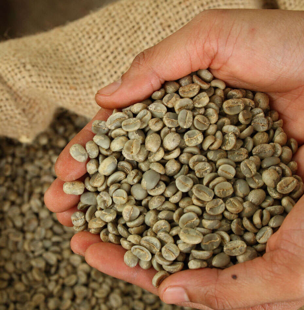 Coffee Producer Coffee Producer