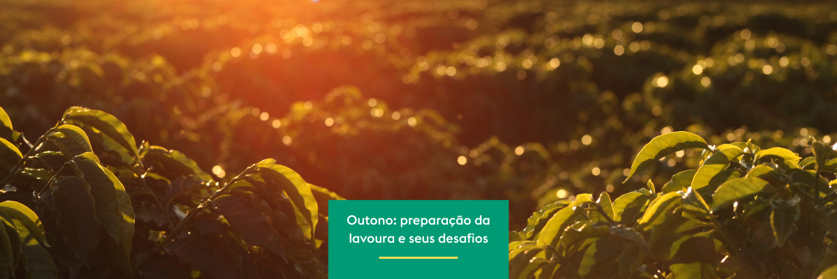 Capa Blog – Outono preparação da lavoura e seus desafios