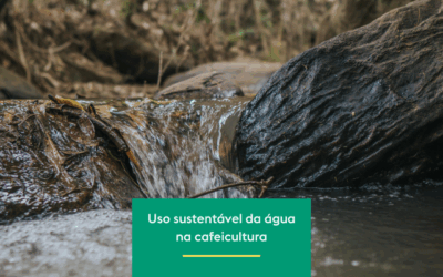 Uso sustentável da água na cafeicultura: soluções práticas para o futuro 