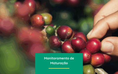 Maturation Monitoring: a technical look before harvest