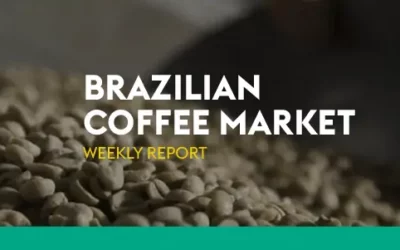 Weekly report – Brazilian Coffee Market – December 16th ~ 20th, 2024