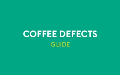 A Complete Green Coffee Defects Guide