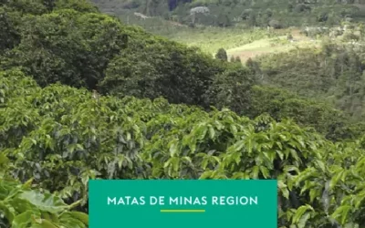 Matas de Minas: tradition, family agriculture and sustainability