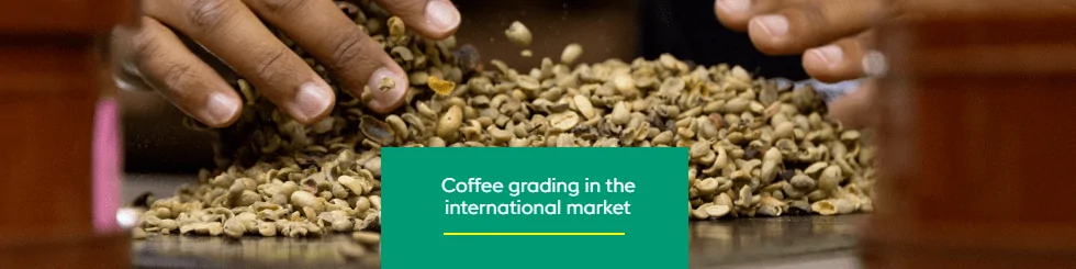 Capa artigo classificação PT