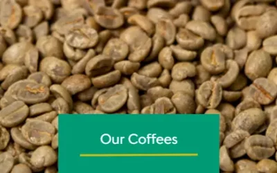 Our Coffees: Key Characteristics and Flavor Varieties