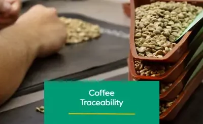 Coffee Traceability