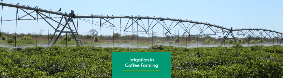 The importance of irrigation in times of climate change